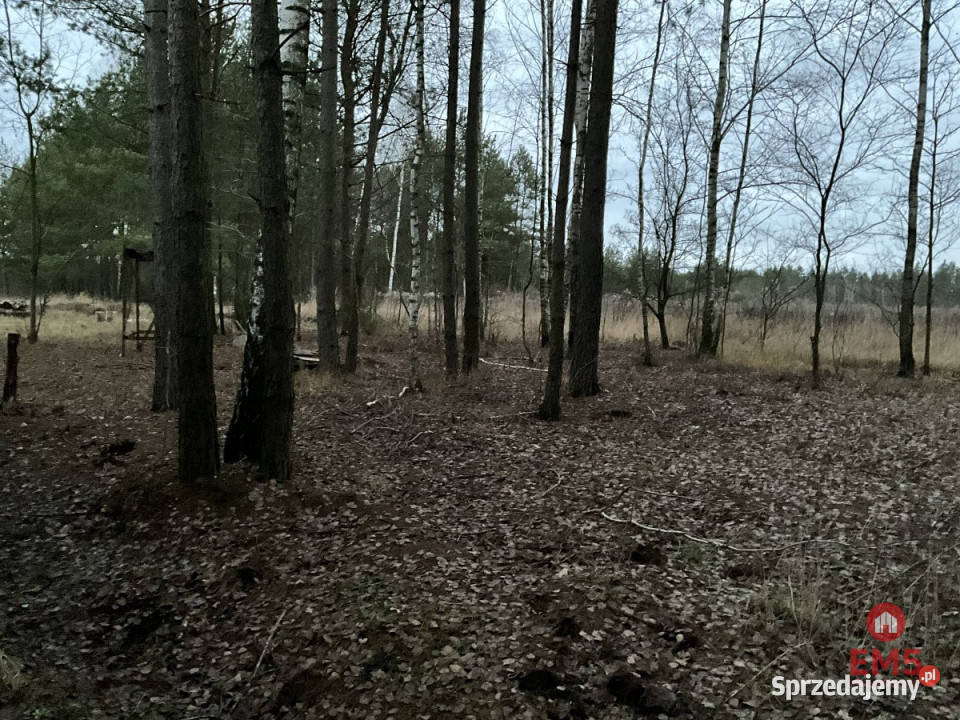 Dom wolnostojący 190m2 Sochonie Rok budowy 2018