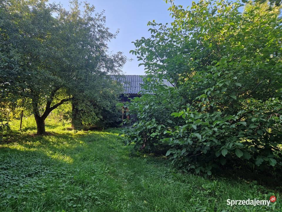 Sprzedam dom Szczebrzeszyn