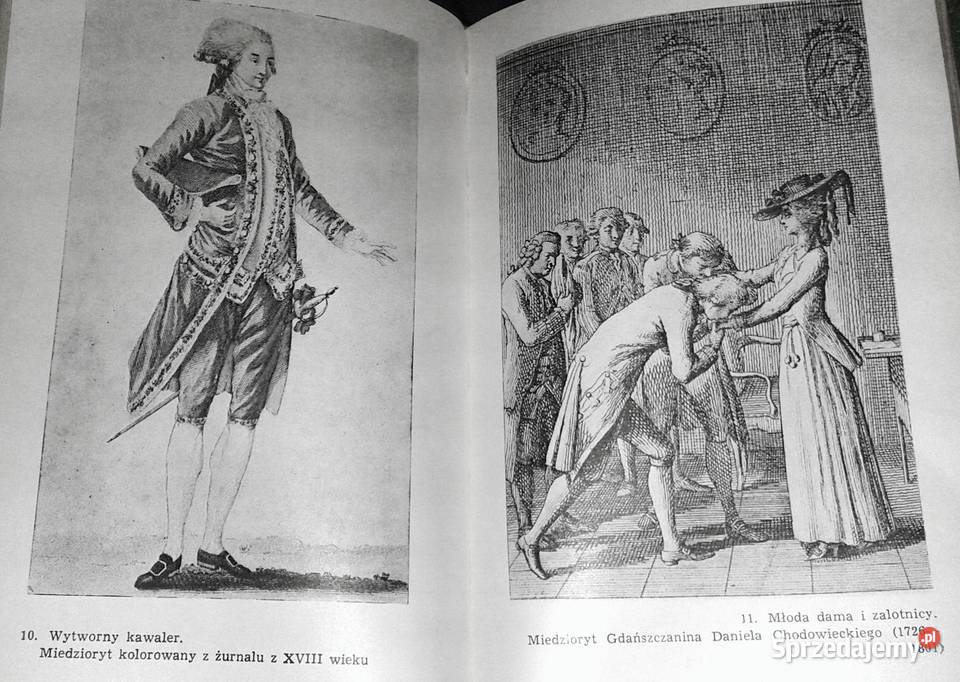 Pułkownikówna Józef Ignacy Kraszewski Chełm sprzedam