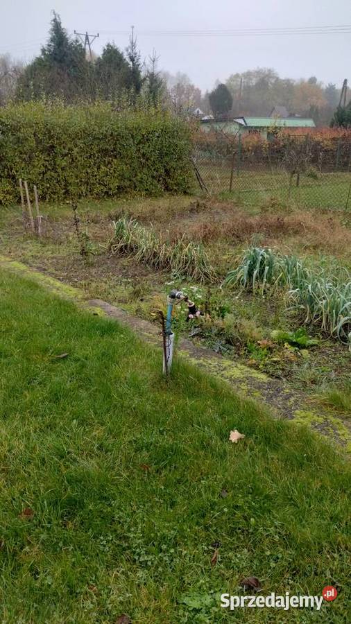 Działka RODPrzyszłość Brzeg Dolny