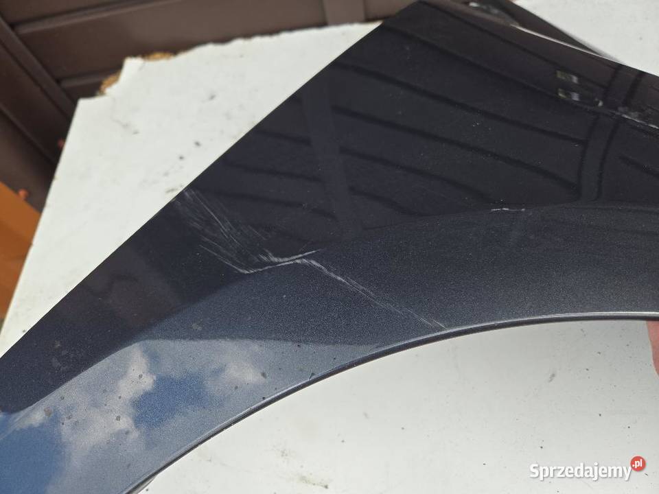 BŁOTNIK PRAWY PRZÓD TEB66 RENAULT MEGANE III 15 osobowe Karoseria