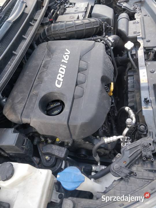 Sprzedam Hyundai i30 14 CRDI 122013 r i30 Gdańsk