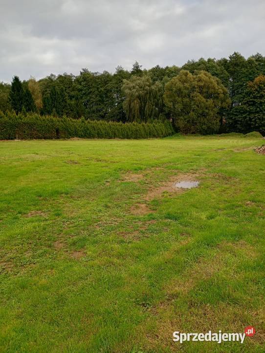 DZIAŁKA BUDOWLANA 1037m2 Wszystkie MEDIA z SUPER 1037m2 Golasowice sprzedam