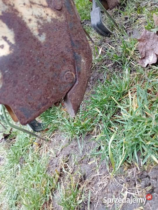 Siewnik zbożowy Sulky 3m olejowa skrzynia Międzyrzec Podlaski sprzedam