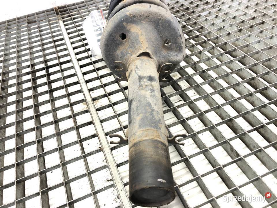 AMORTYZATOR LEWY PRZÓD ZE SPRĘŻYNĄ SEAT LEON I