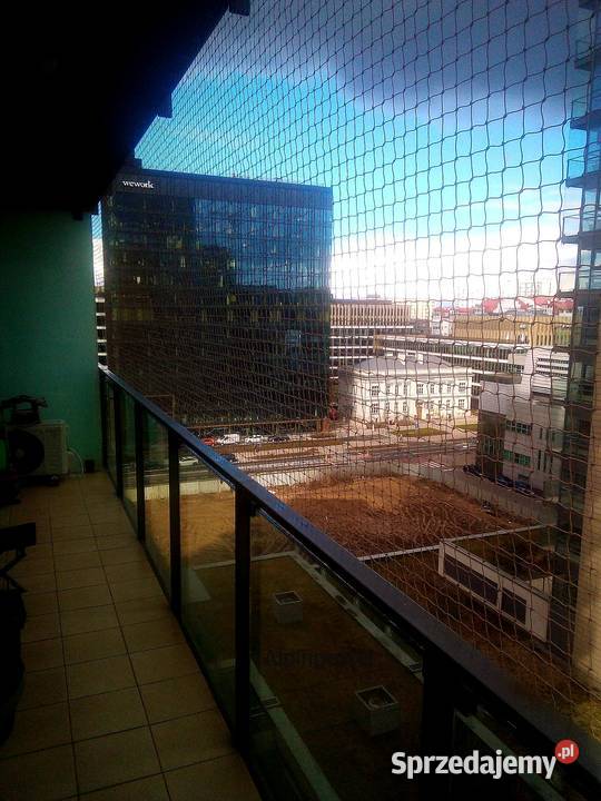 Siatka na kota na balkon bez wiercenia Warszawa Pozostałe usługa dla zwierząt