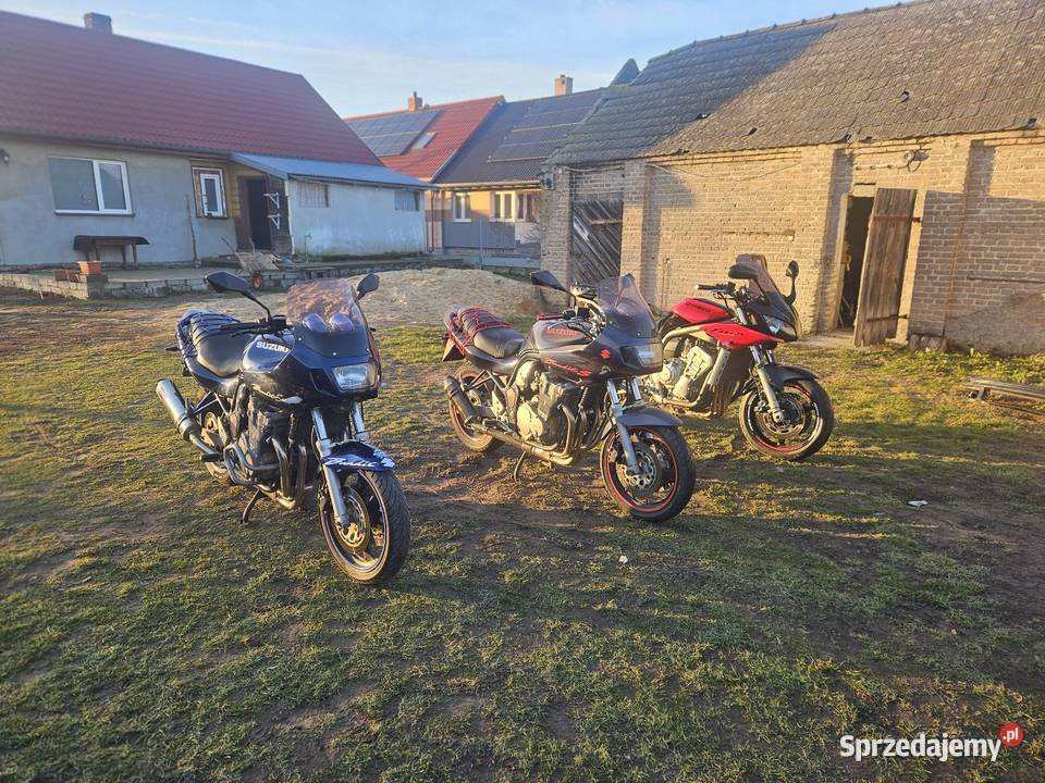 Suzuki gsf