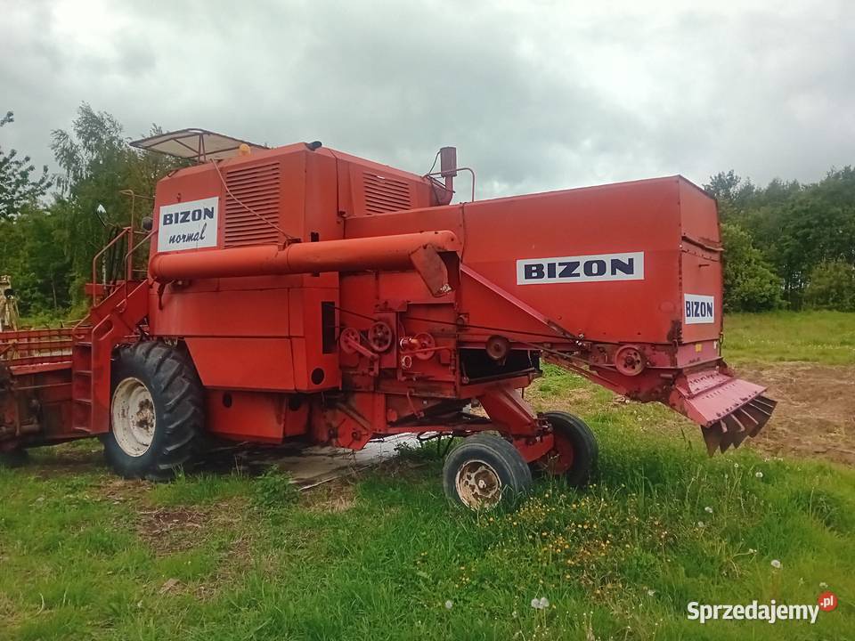 Bizon normal wersja eksportowa świętokrzyskie Siekierno-Podmieście