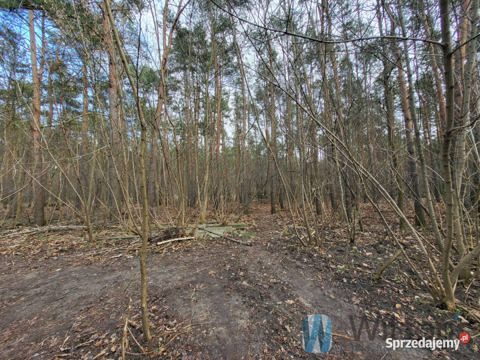 Grunt na sprzedaż Warszawa Przedwiośnie 7100m2 sprzedam
