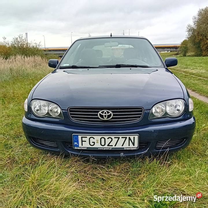 Toyota Corolla 14 Corolla Gorzów Wielkopolski