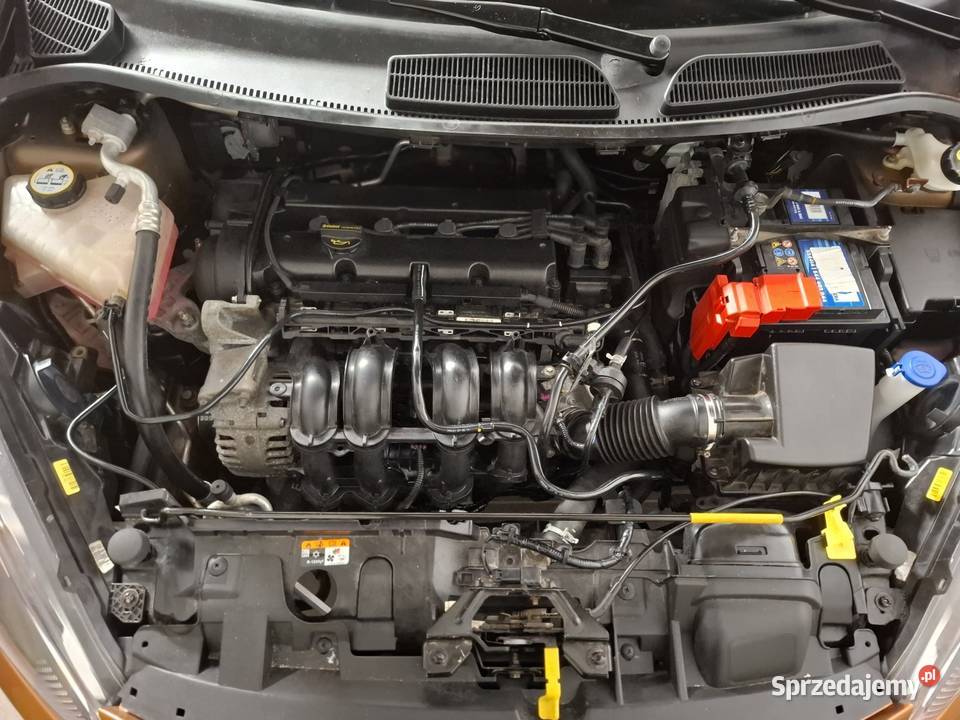 2015 Ford Fiesta MK7 lift 125 82 5 drzwi Dynów