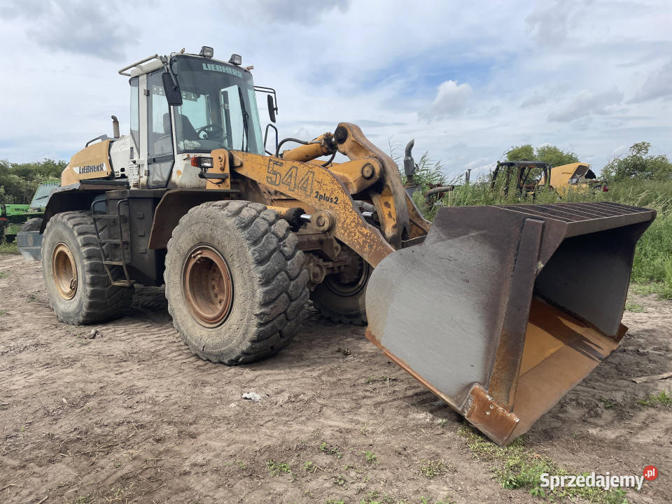 Liebherr L544 na części most kabina skrzynia Jastrzębniki
