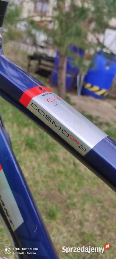 Rower męski Giant Leszno