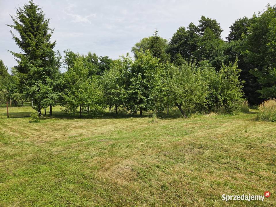 Sprzedam dom wolnostojący Nowa Słupia 2095m2 świętokrzyskie