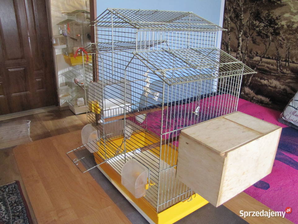 Klatka ptaków Toruń