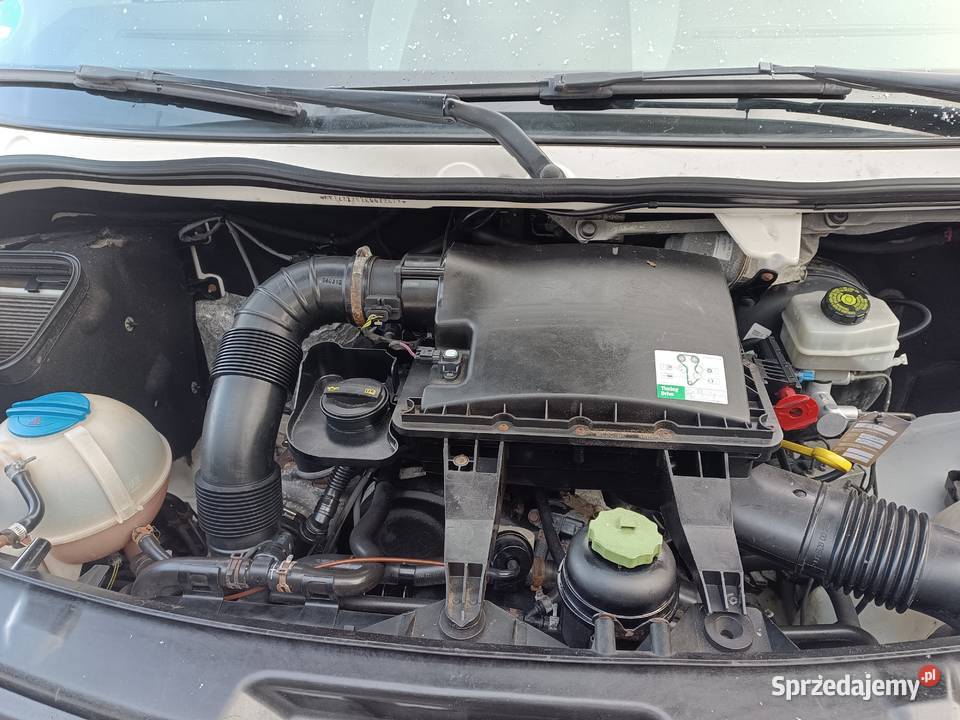 VW Crafter 20 TDI 163 nowy rozrząd Śliwice