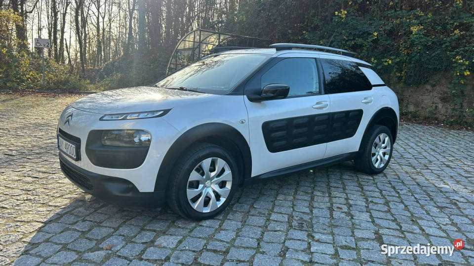 Citroen C4 Cactus I 2014 C4 Cactus