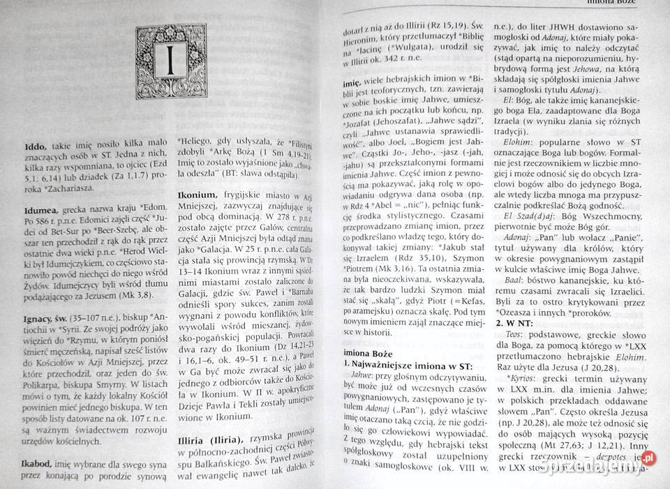 Słownik Biblii WRF Browning Chełm sprzedam