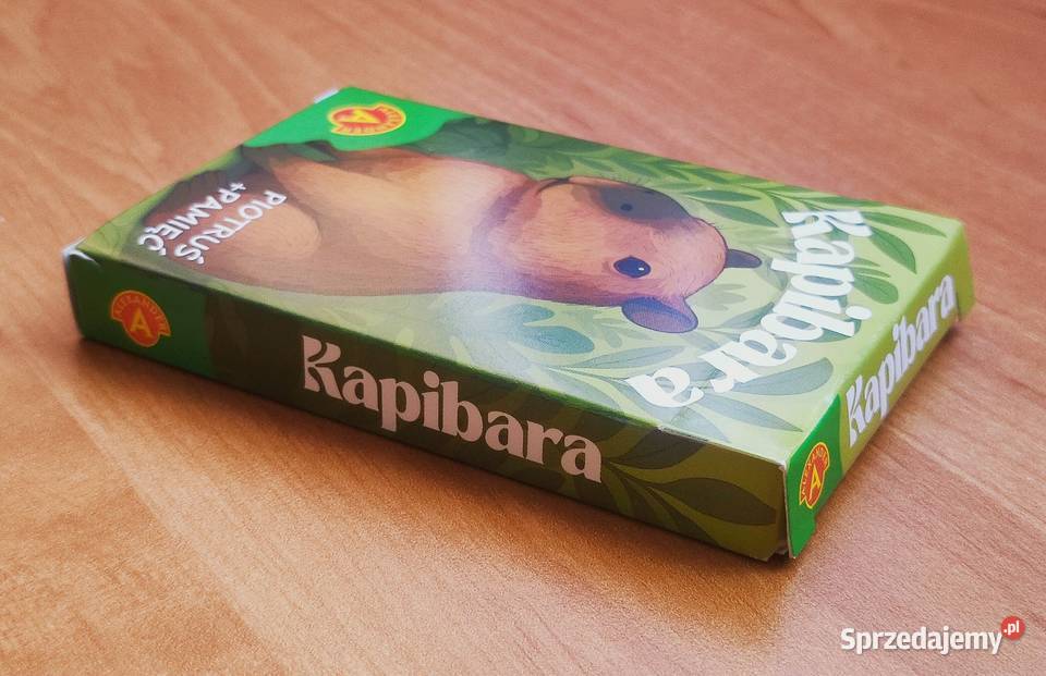Karty Piotruś Pamięć Kapibara kujawsko-pomorskie