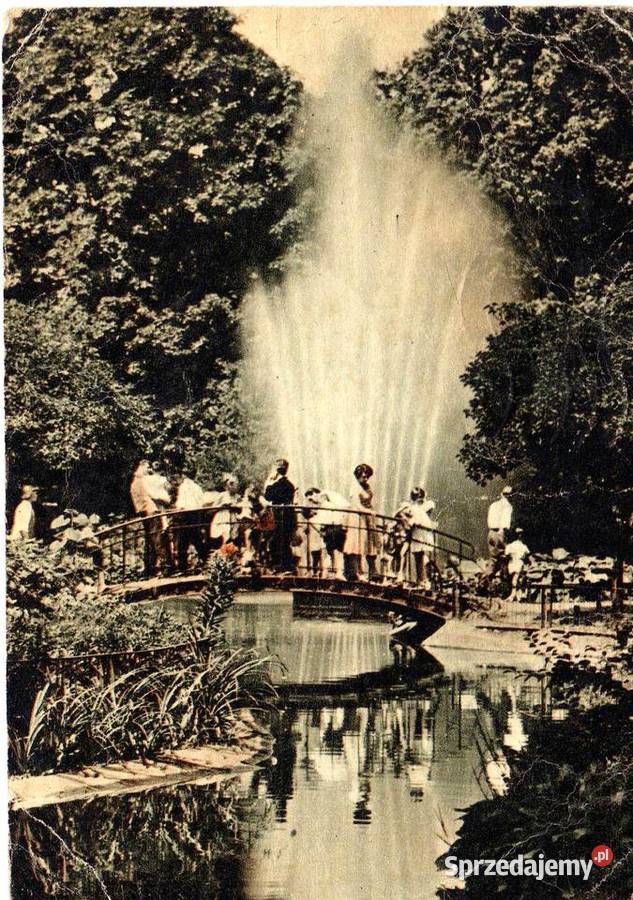 KRAKÓW PLANTY Krynki sprzedam