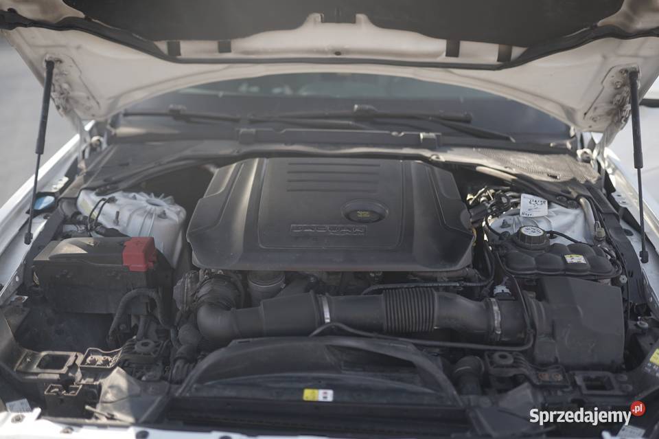 Jaguar xe RSport 20 D z nowym silnikiem na Proćwin sprzedam