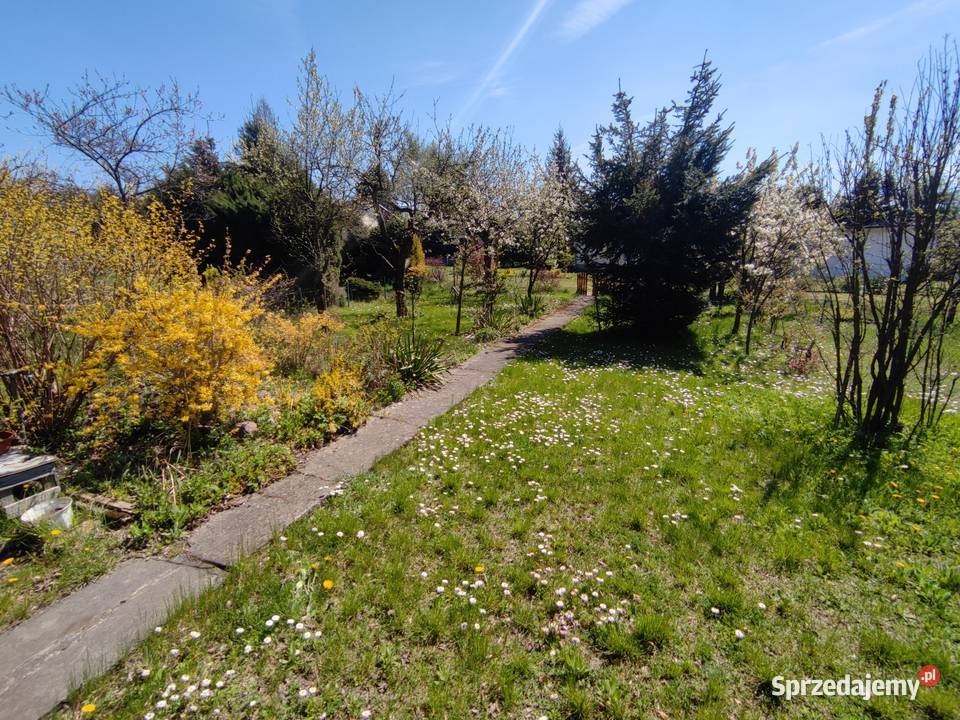 Działka ROD Łagiewniki Domek piwnica media prąd