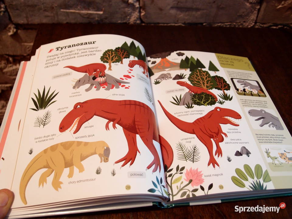 Encyklopedia dzieci Dinozaury przyroda, krajobrazy Łódź