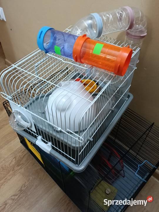 Klatki 3 sztuki gryzoni Koszalin sprzedam
