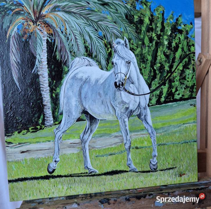 Obraz koń arabski araby konie stajnia klacz