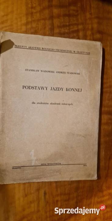 Podstawy jazdy konnej studentów akademii Katowice