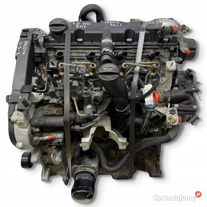SILNIK RHY Peugeot 307 406 Partner Citroen C5 osobowe
