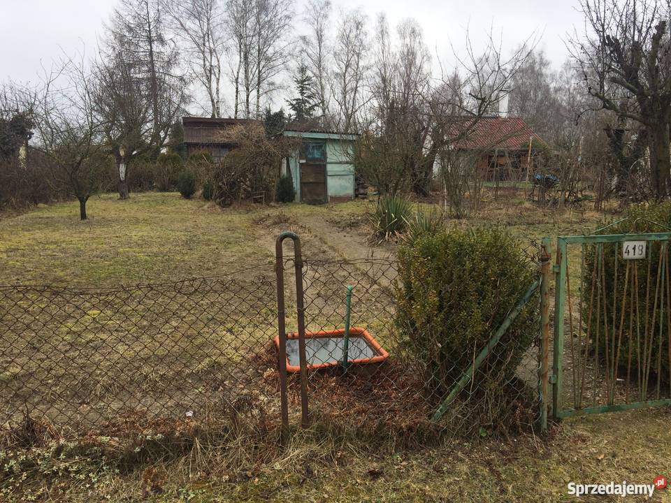 Działka ROD PoznańStrzeszyn na sprzedaż