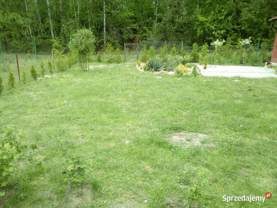 Działka ogrodowa ROD JAWOR Niedzieliska Komuna 300m2 sprzedam