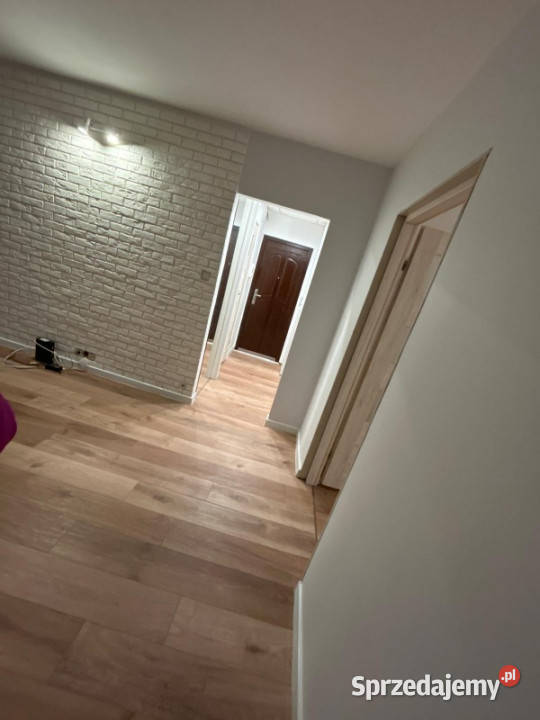 2 pokojowe mieszkanie zaraz wielkopolskie Kalisz