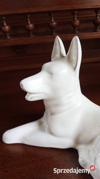Piesek leżący biały Figurka porcelanowa Śliczny Gdańsk sprzedam