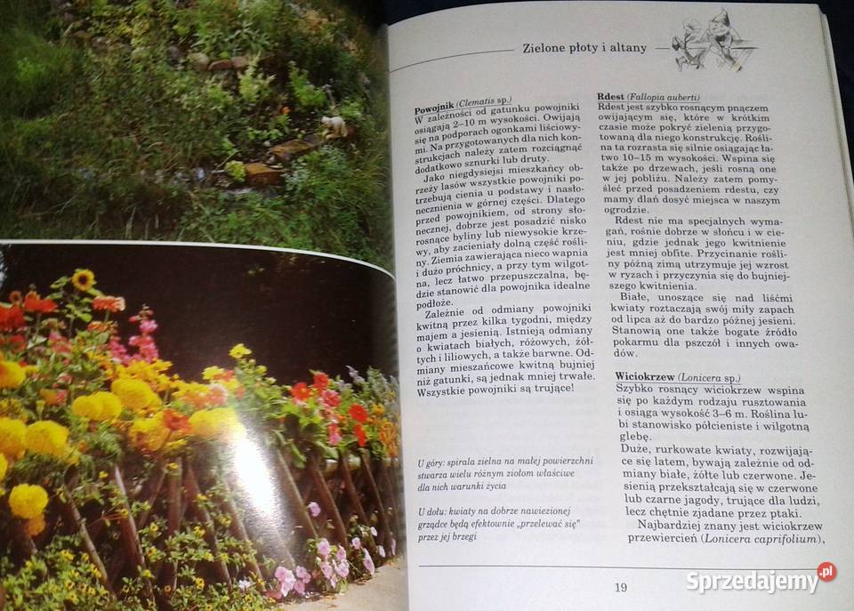 Pomysłowe urządzanie ogrodu Susanne Bruns Chełm sprzedam