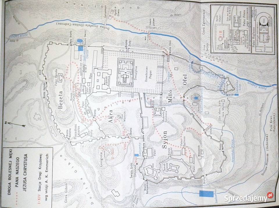 Pasja Anna Katarzyna Emmerich Chełm