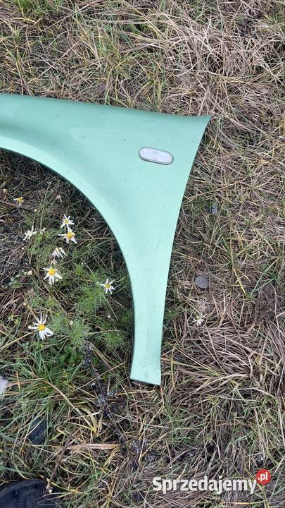 Blotnik przod lewy volkswagen golf 4 zielony Margonin