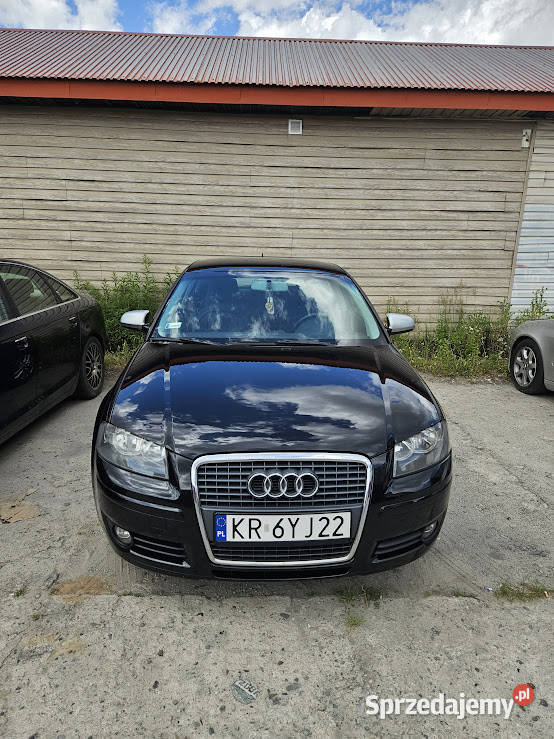 Audi A3 8P 16 A3 małopolskie Kraków
