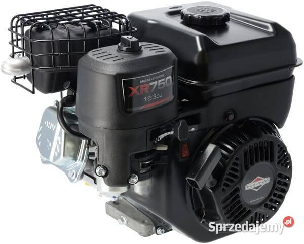 Silnik wał poziomy 1062320272F1