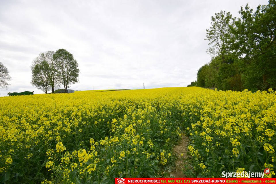 Domsiedlisko 27 Lublina media 100 Liczba pokoi 1 Krzczonów-Sołtysy