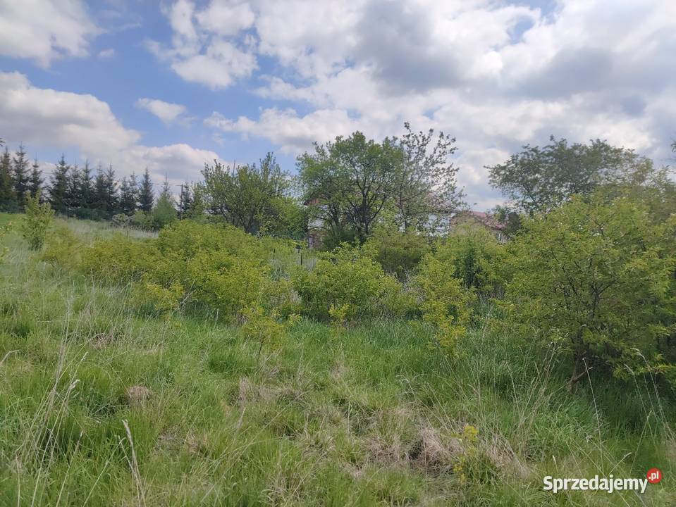 Działka 12 arów powiat wałbrzyski Stare Bogaczowice