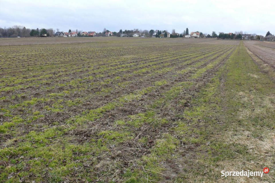 5 minut spacerkiem do Zalewu Zemborzyckiego lubelskie
