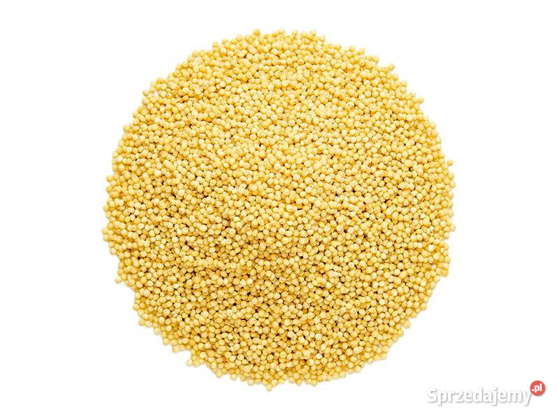 Kasza jaglana 1 Brzozów