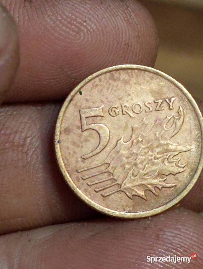 Sprzedam monete 5 groszy 1991 Chełm