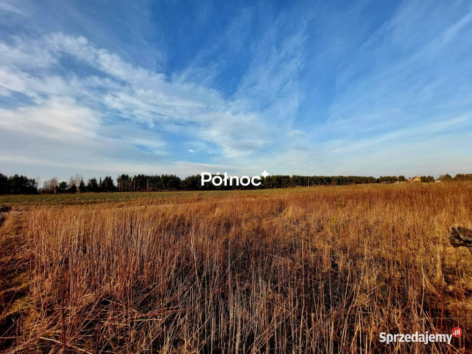 Urokliwa działka w ŁuckaKolonia na sprzedaż Łucka-Kolonia