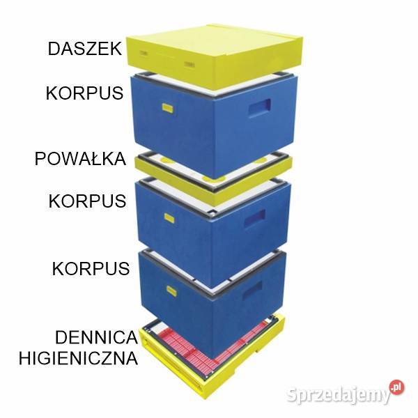 Wielkopolski 10 ramkowy 3x Korpus i dennica Dom i Ogród Jaśliska
