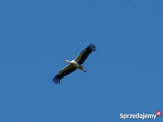 Działka budowlana w pobliżu jeziora