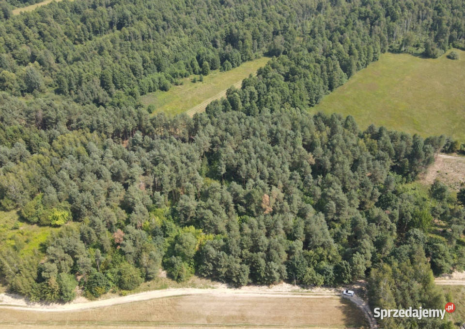 Dziecinów działka rolna 5 885 m Sprzedaż Grunty i działki mazowieckie