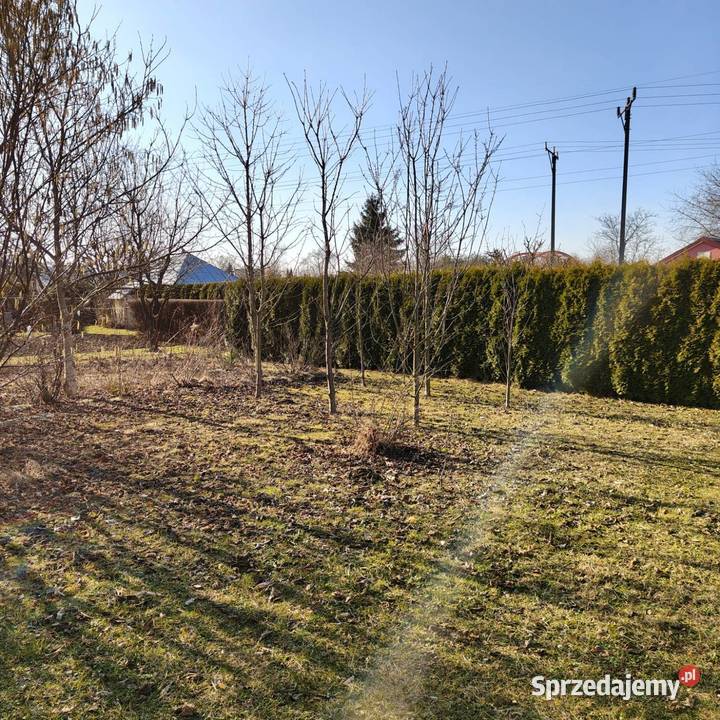 Sprzedam działkę w ROD RELAKS Dębica